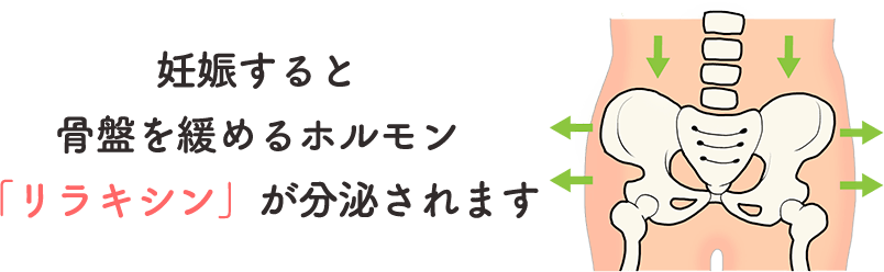 妊娠すると分泌される骨盤を緩めるホルモン